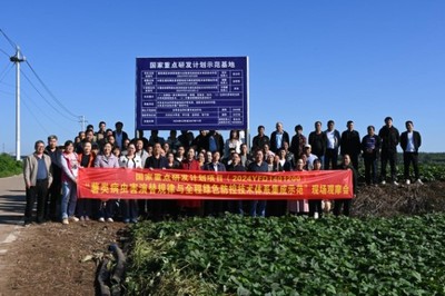 綠色防控，“薯”來(lái)運(yùn)轉(zhuǎn)——河南省農(nóng)科院植保所召開甘薯病蟲害綠色防控培訓(xùn)觀摩會(huì)